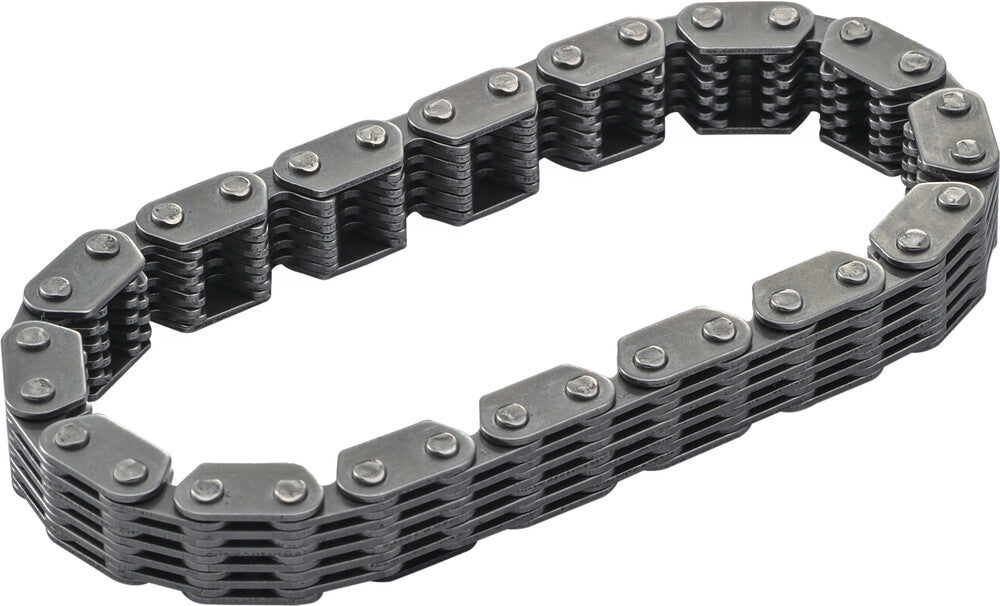 Harddrive 87054 Secondary CAM Chain TC 88" Inner OEM Repl For Harley Motorcycles 1999-2006