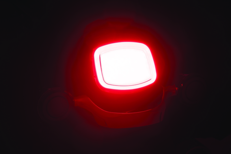 Kuryakyn 2913 Tracer LED Taillight Smoke Lens Without License Light