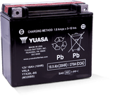 Yuasa Battery YUAM320BS Yuasa YTX20L-BS Maintenance Free AGM 12-Volt Battery W/bottle