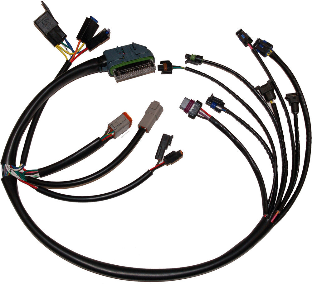 Namz Custom Cycle Complete EFI Harness - NHD-70233-02 For Harley Touring 2002-2003