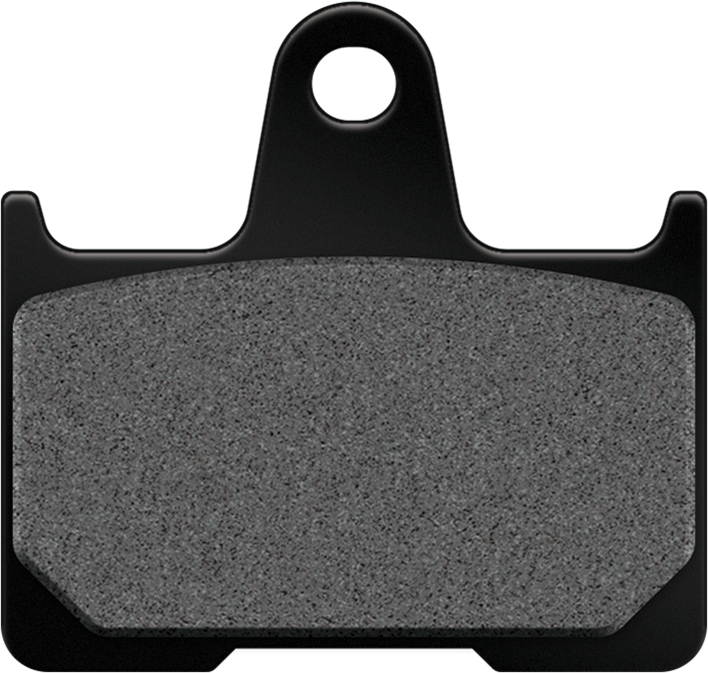 Harddrive HD640V HD Brake PAD Semi-Sint Repl OE 41300004 For Harley Sportster 2014-2022