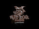 Wild Boar Audio Amplifier Kit - WBA 400.2R For Harley Touring 2014-2024
