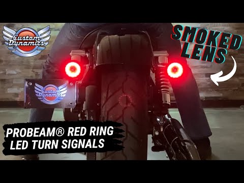 CUSTOM DYNAMICS 2020-1913 PB-SCOUT-RR-CS ProBEAM® Red Ring Turn Signal LEDs Rear LED Tun Signal Ringz - Smoke - Scout