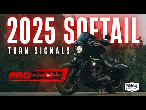 CUSTOM DYNAMICS 2020-1913 PB-SCOUT-RR-CS ProBEAM® Red Ring Turn Signal LEDs Rear LED Tun Signal Ringz - Smoke - Scout