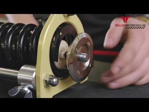 MUELLER MOTORCYCLE AG 1304-0965 130-30 Rear Lowering Kit - M8 - Remote Preload Adjust
